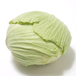 キャベツ