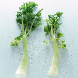 セロリ