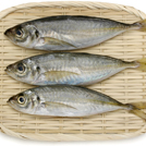 秋の味覚特集:秋の味覚の豆知識"