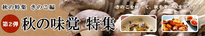 秋の味覚特集 －きのこ編－