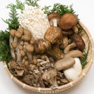 秋の味覚特集:秋の味覚の豆知識"