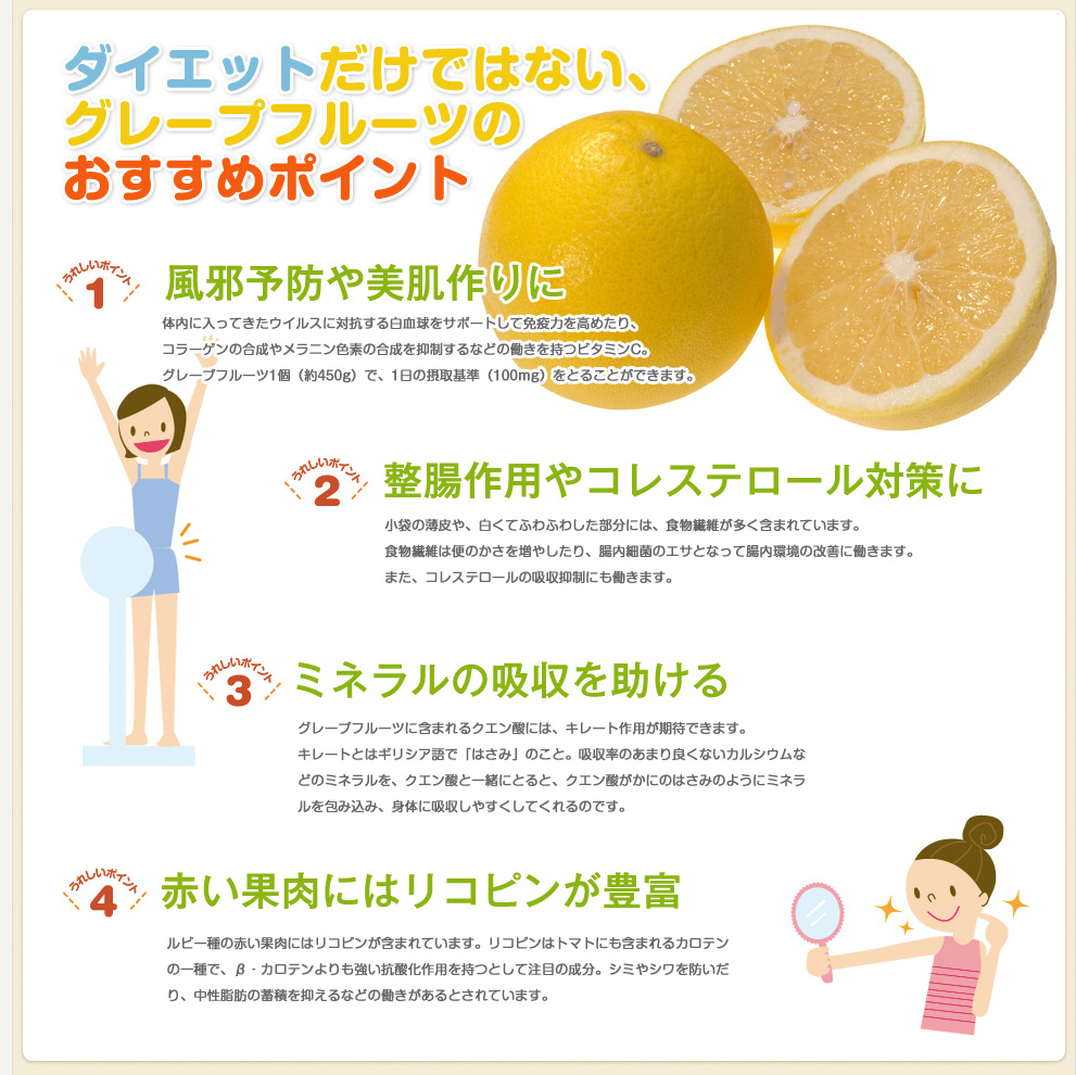 おすすめポイント