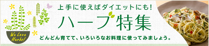 ハーブ特集