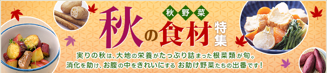 秋の食材特集