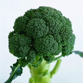 ブロッコリー