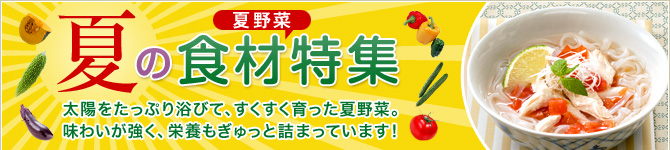 夏の食材特集