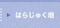 はらじゅく畑