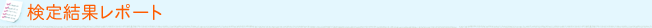 検定結果レポート